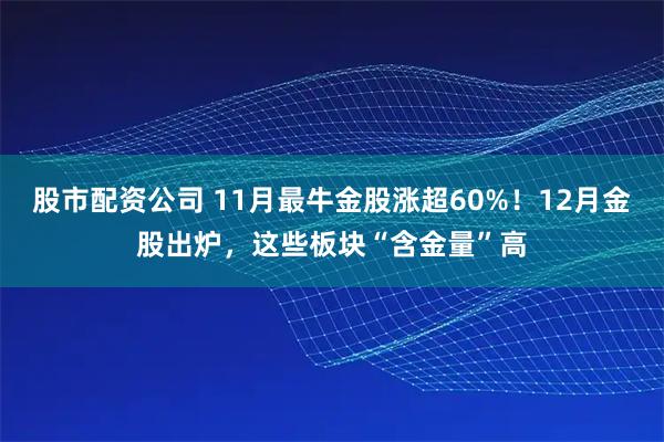 股市配资公司 11月最牛金股涨超60%！12月金股出炉，这些板块“含金量”高