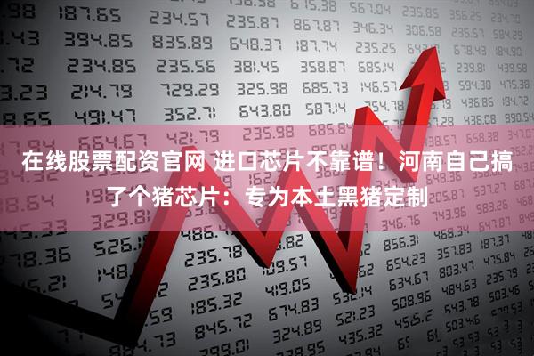 在线股票配资官网 进口芯片不靠谱！河南自己搞了个猪芯片：专为本土黑猪定制