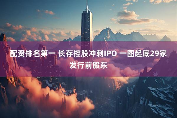 配资排名第一 长存控股冲刺IPO 一图起底29家发行前股东